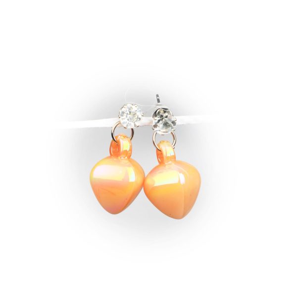 N018-Earrings